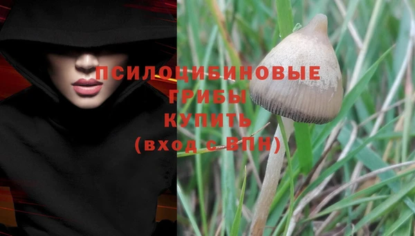 стаф Волосово
