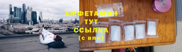 стаф Волосово