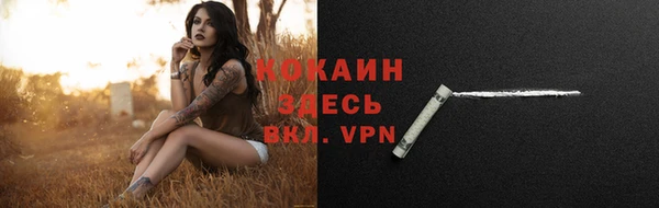 дживик Володарск