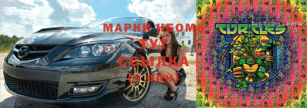 прущие крисы Верея