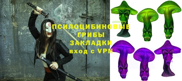 стаф Волосово